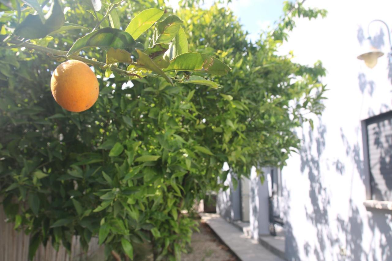Habait Ba Shomera Exterior photo